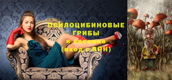 мяу мяу мука Абдулино