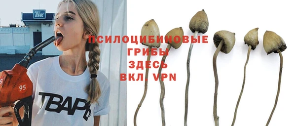 тгк Абаза
