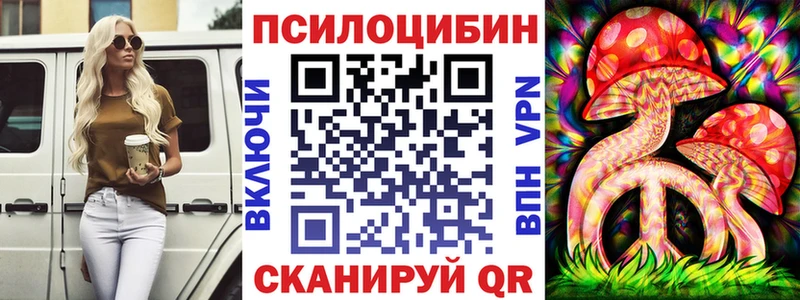 Псилоцибиновые грибы Psilocybine cubensis  даркнет как зайти  Горбатов 