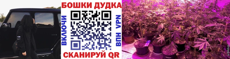 цена наркотик  Горбатов  дарк нет официальный сайт  Бошки марихуана AK-47 